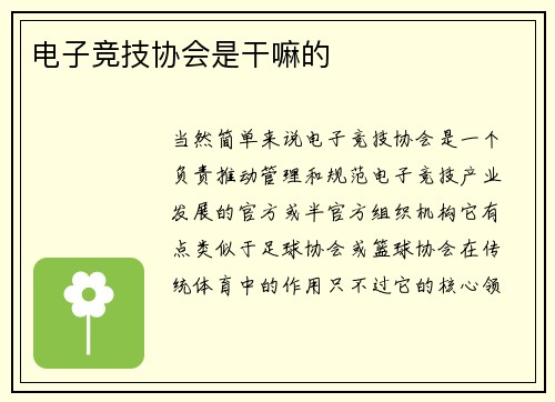 电子竞技协会是干嘛的